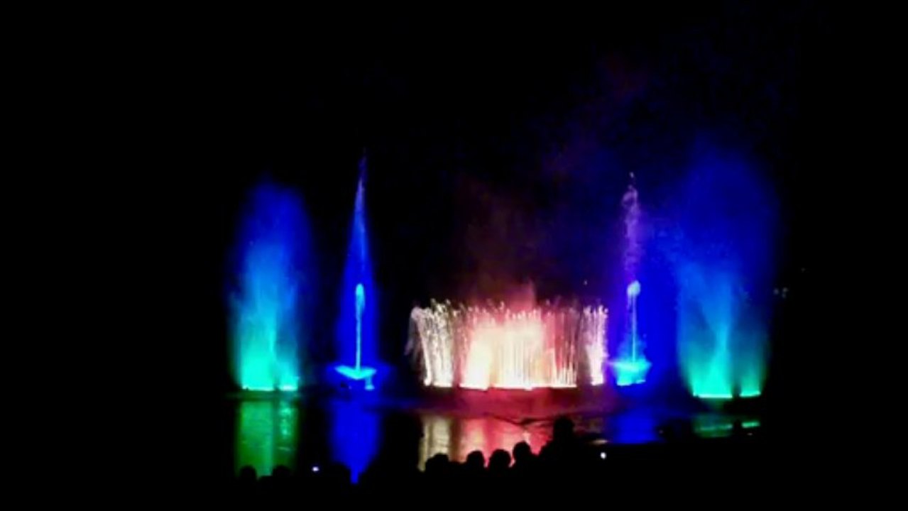 Wasserspiele der Feuerwehr Harsewinkel - 50 Jahre Stadtpark Harsewinkel 2013 (7)