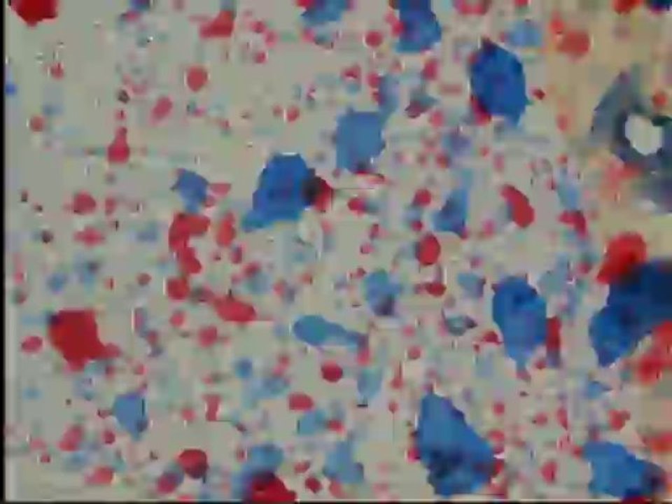 BLEU BLANC ROUGE