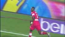 But Issiaga SYLLA (75ème) - AS Saint-Etienne - Toulouse FC (1-2) - 2013/2014