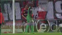 But Nicolas DE PREVILLE (58ème) - Stade de Reims - EA Guingamp (1-1) - 2013/2014