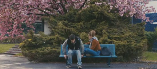 Blue Is The Warmest Color    -    trailer