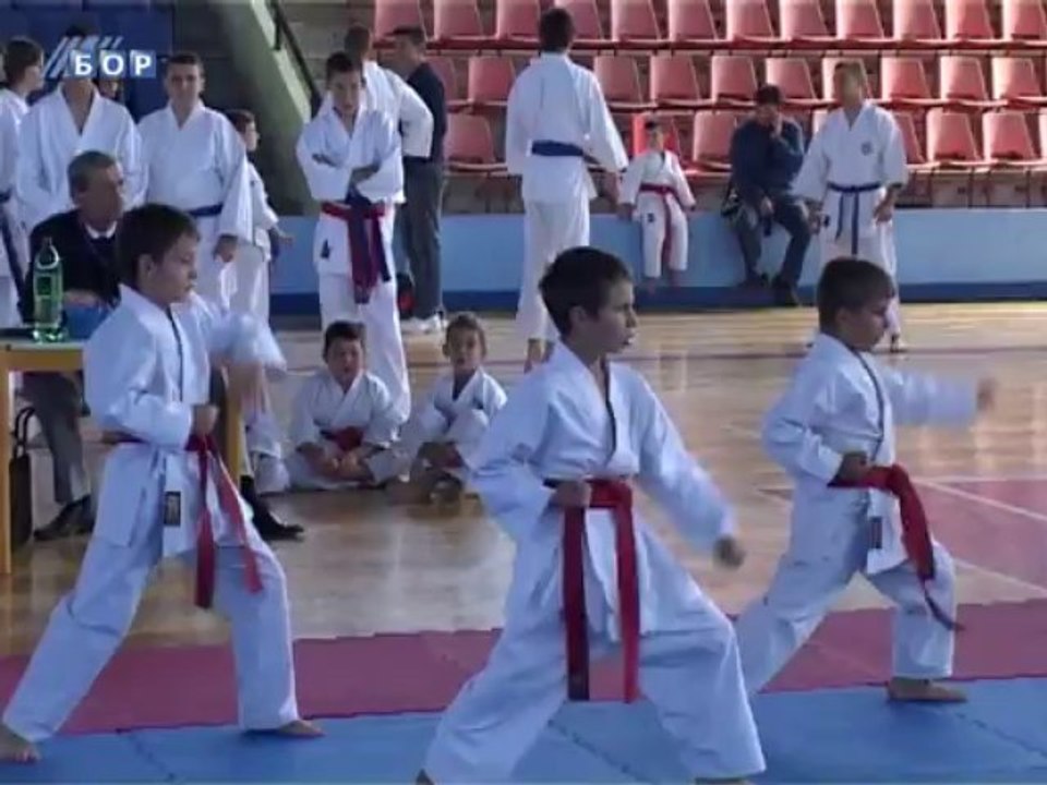 Više od 250 karatista na borskom "Koper kupu", 22. septembar 2013.