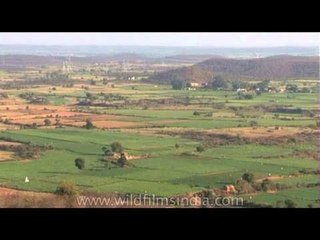 An aerial view of green fields - Gwalior
