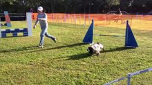 Open Suany Cossonnay 2013