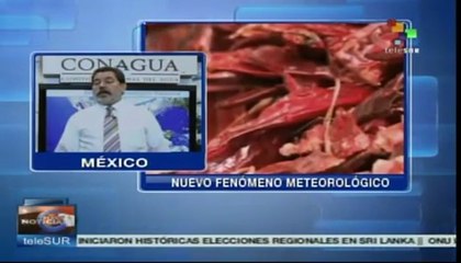 Comienza a formarse nuevo fenómeno meteorológico en México