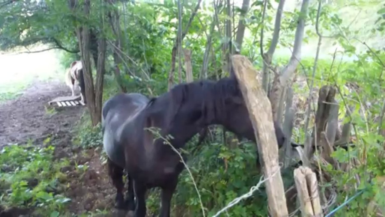 storm et bachka 19 09 2013