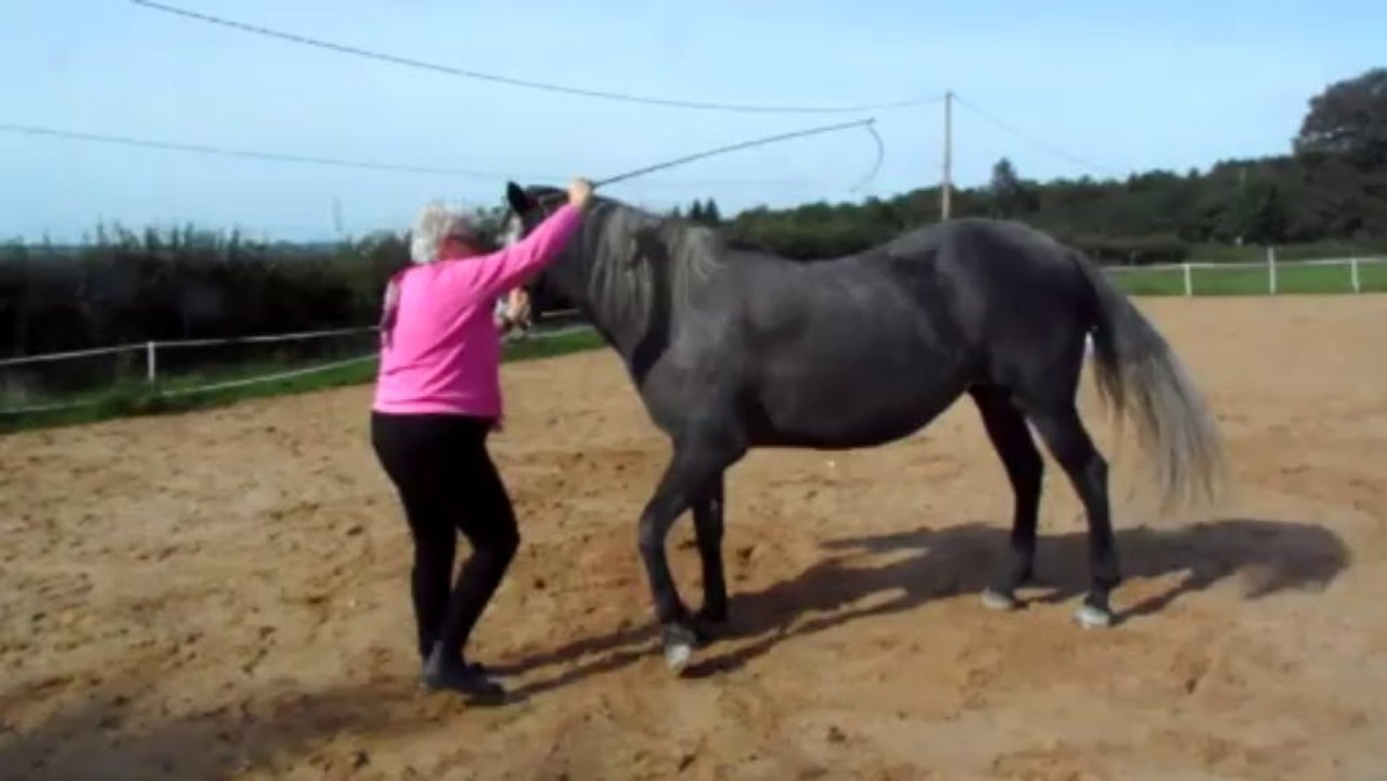 Thoranche apprend la volte - 21-09-2013