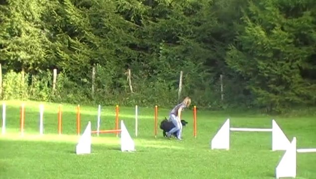 Entrainement d'agility 21.09.13
