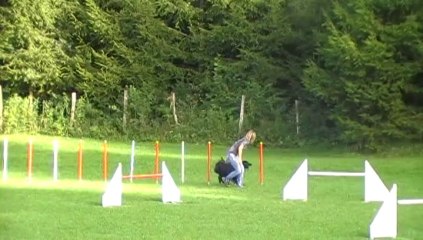Entrainement d'agility 21.09.13