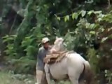 Bourré, il essaye de monter sur son cheval... FAIL!!