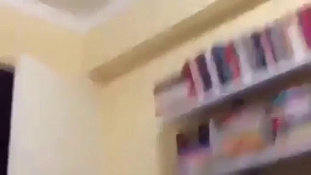Un chat tombe d'une bibliothèque!