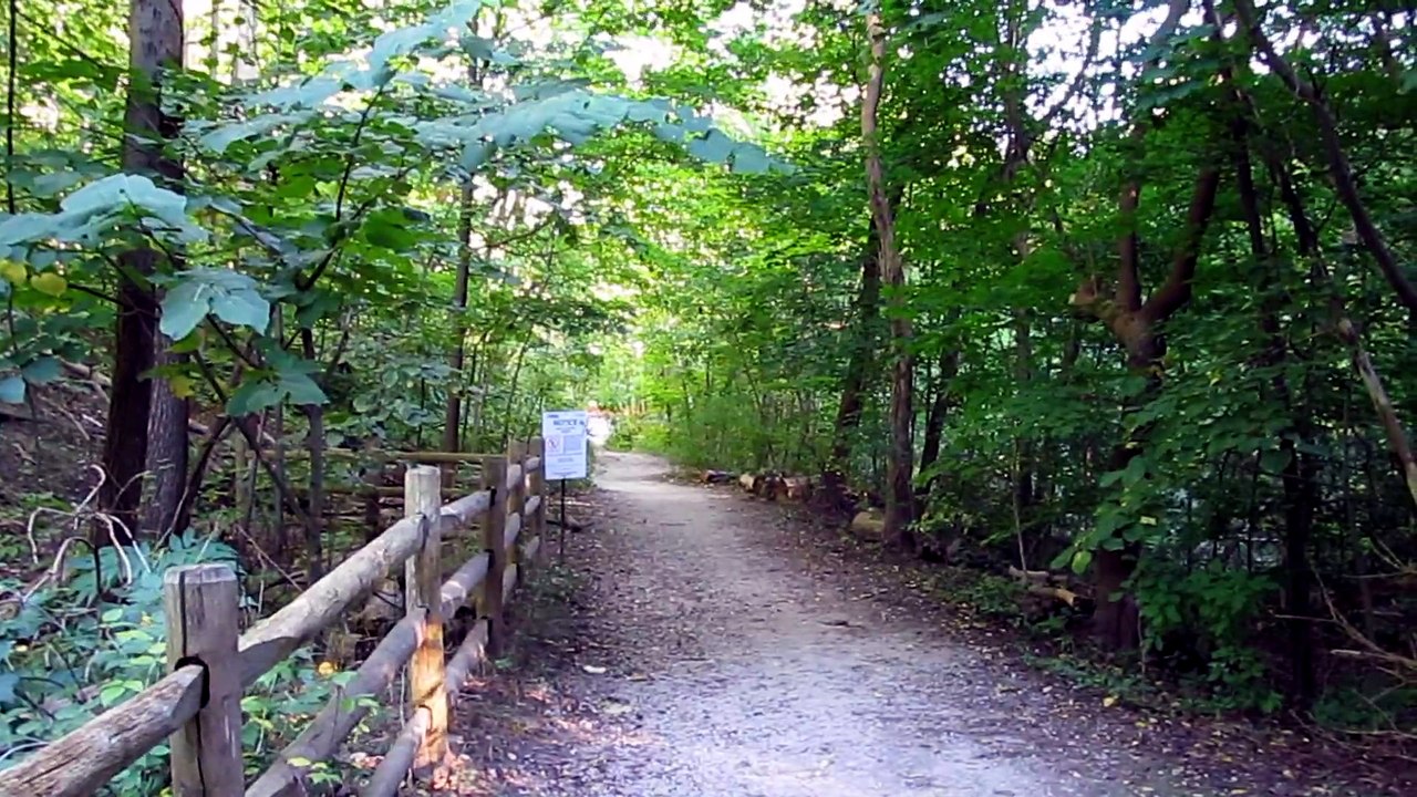 partial video panning of the beltline trail headed downtown through scenic forests and wetlands on a dirt path bicycle trail