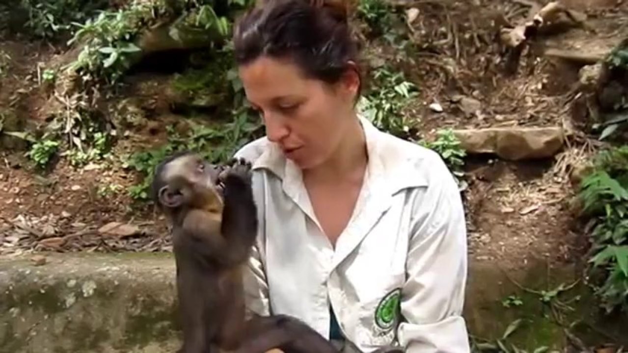cute monkey sharing his food and he will not take no for an answer
