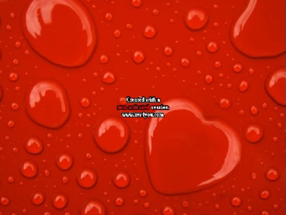 No Love Song