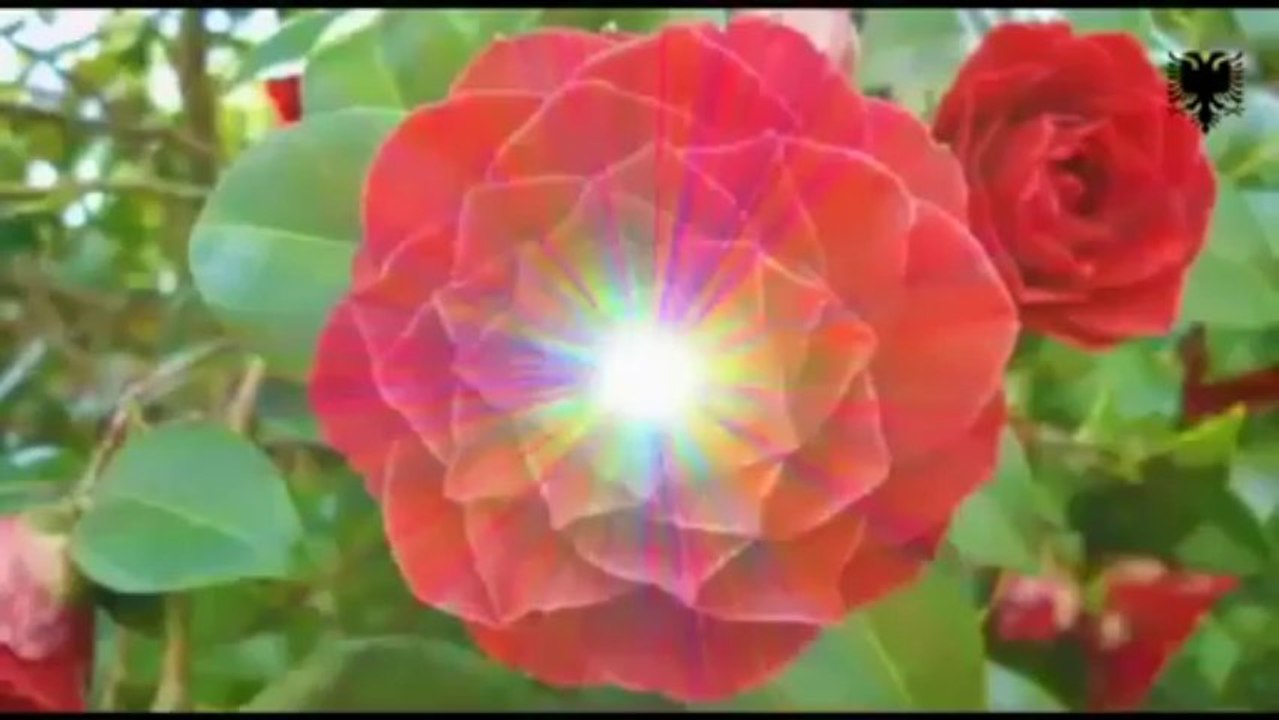 Murat Gjoniku ku e lam dhe ku na mbeti (Official Video)