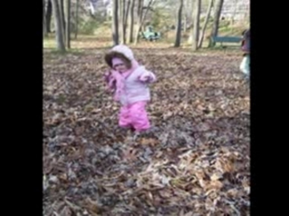 Vive l'automne