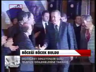 BÖCEĞİ, BÖCEK BULDU