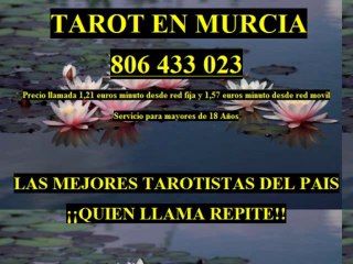 tarot en murcia videncia