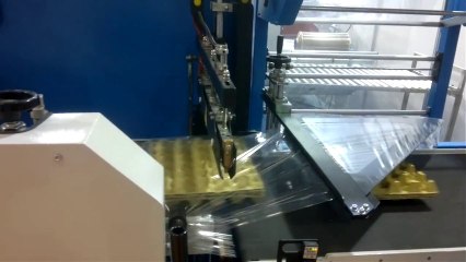 otomatik yumurta paketleme makinesi