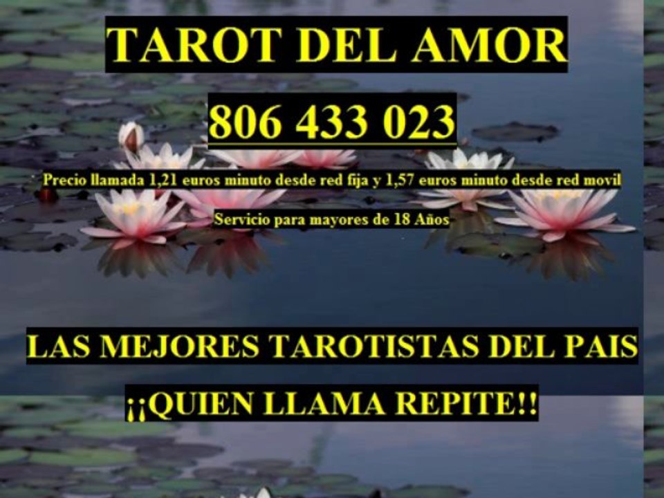 tarot del amor videncia