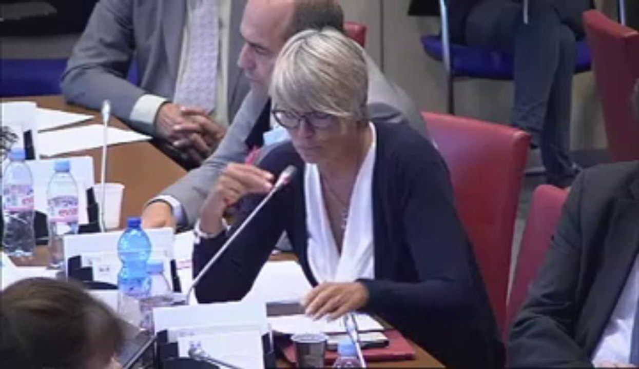 Véronique Massonneau - Audition de Marisol Touraine sur la réforme des retraites