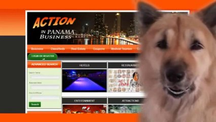 Business Model  In Panama Panama Business Model