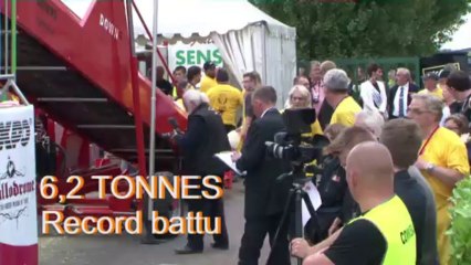 record du monde duplus grand cornet de frites