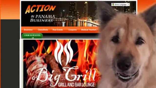 Display Advertising en PTY Display Advertising