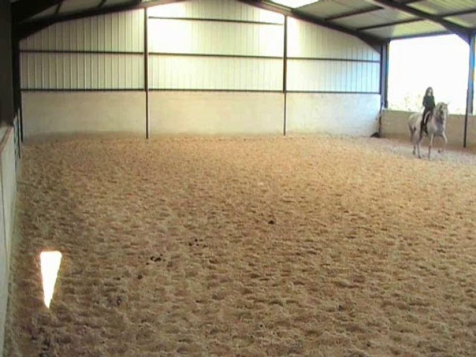 piaffer passage 2013 et pirouette piaffer