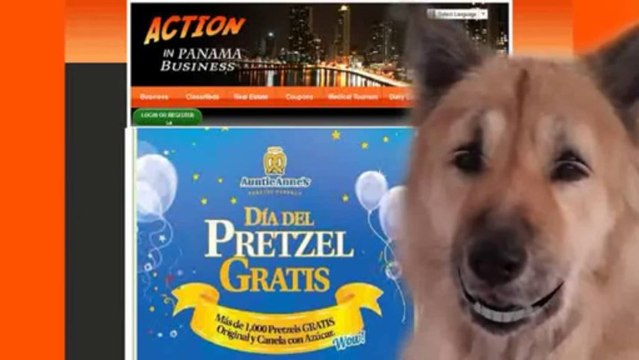 Online Business Licensing system in PTY Online Business Licensing system