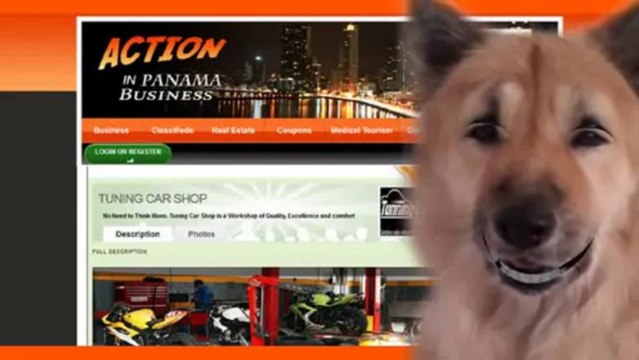 Business Networking en PTY Business Networking