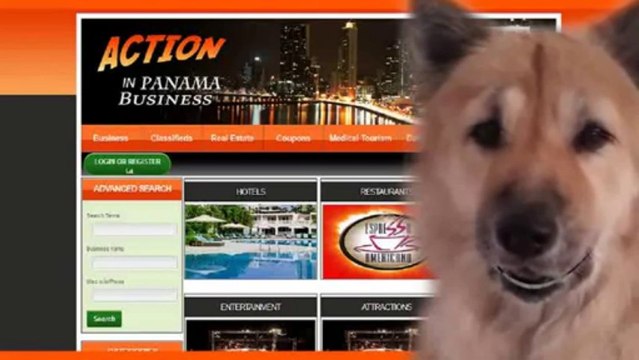 Business directory en PTY Business directory