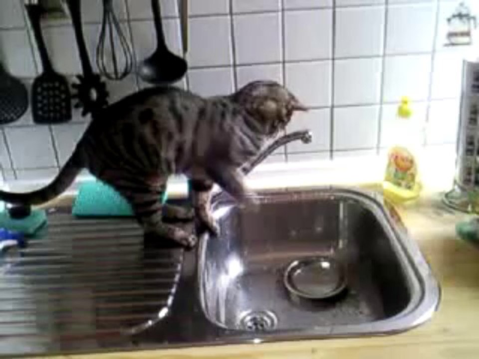 Kira und der Wasserhahn!
