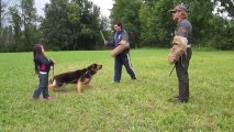 5 YEAR OLD  GETTING PROTECTED BY HER GERMAN SHEPHERD FROM 2 BAD GUYS .