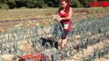 Du bio et local dans un panier - Du bio et local dans un panier