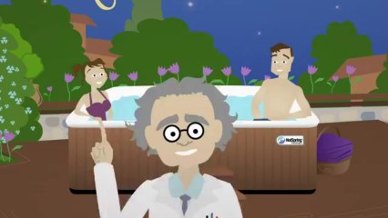 Hot Spring Spas - The ACE Saltwater Sanitizing System - Hot