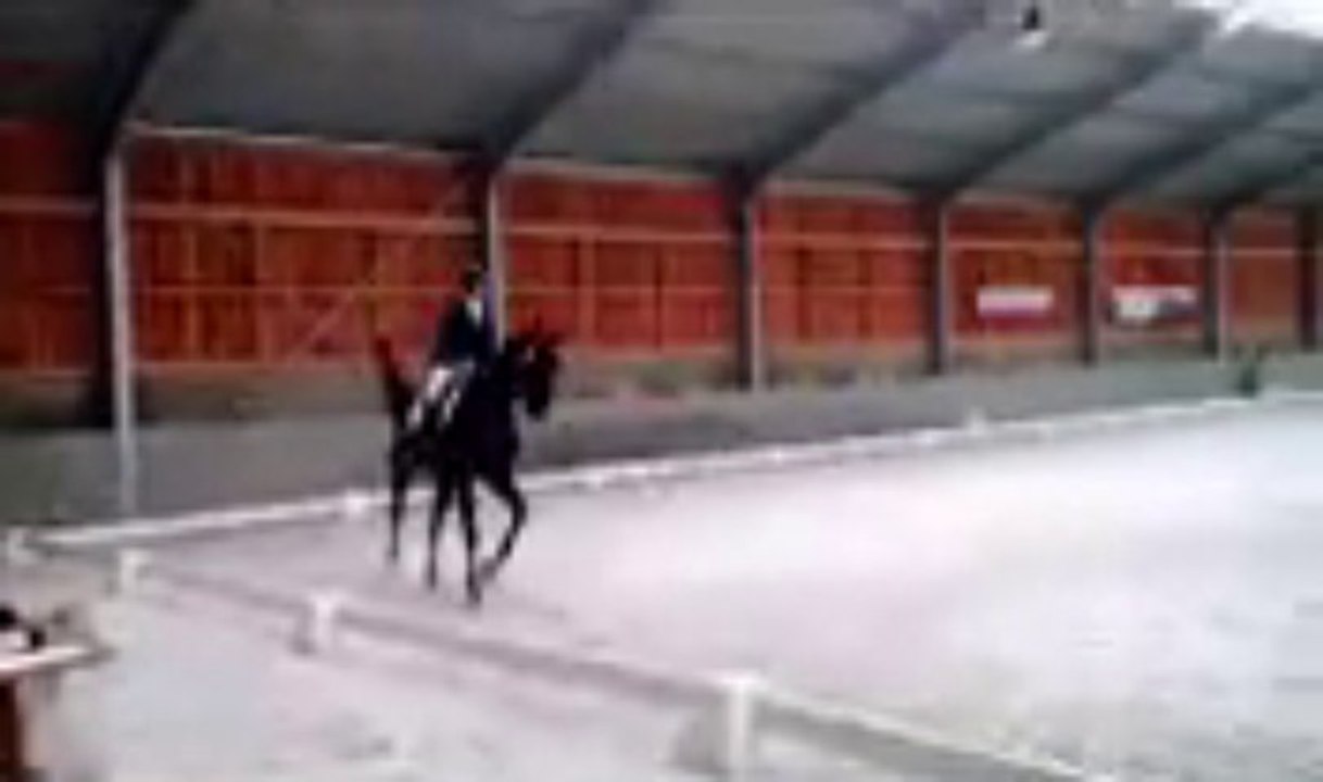 Hatrival jeunes chevaux 4 ans 68,4 %