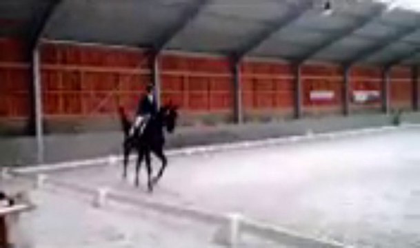 Hatrival jeunes chevaux 4 ans 68,4 %