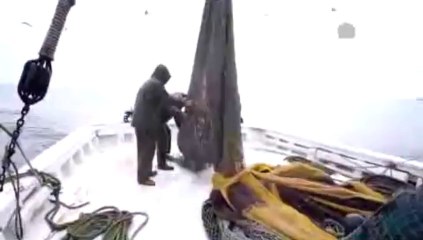 Denizin haylaz çocukları