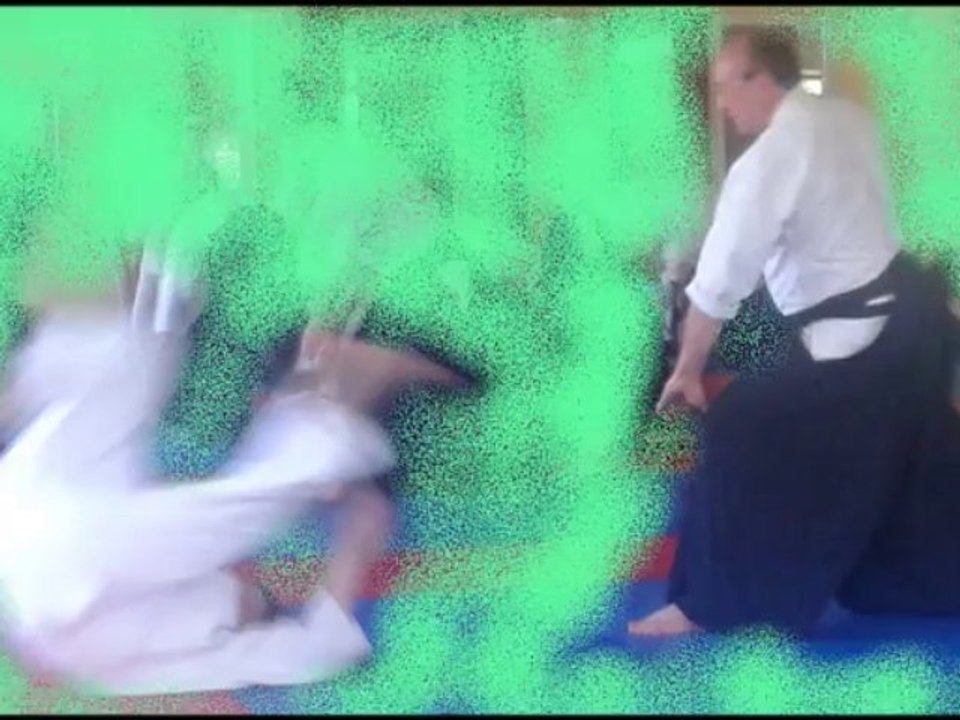 Présentation de l'Aïkido club de Parthenay