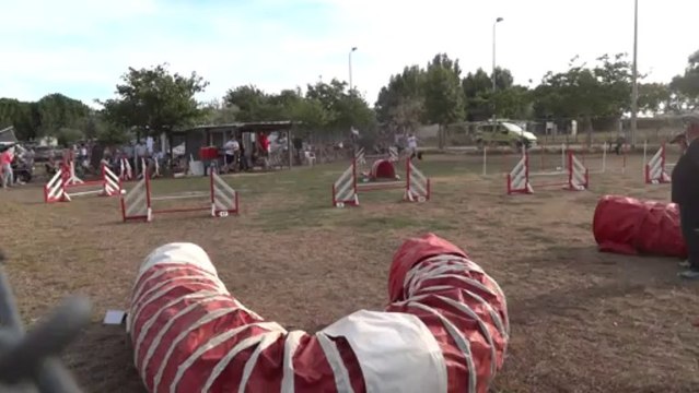 jumping + au concours d'agility de Fabregues