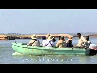 Trip on Chambal river