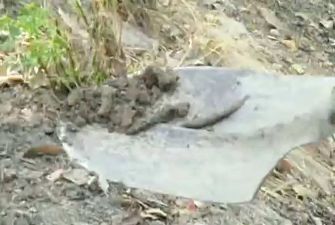 Soil Fish in UPBG