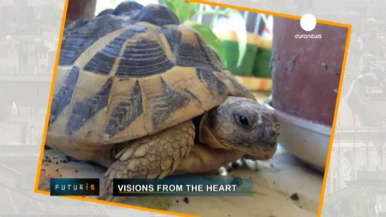 Visions from the heart