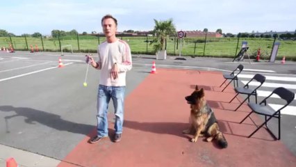 Séance de travail avec Hagen, chien guide et Nicolas Hanhel