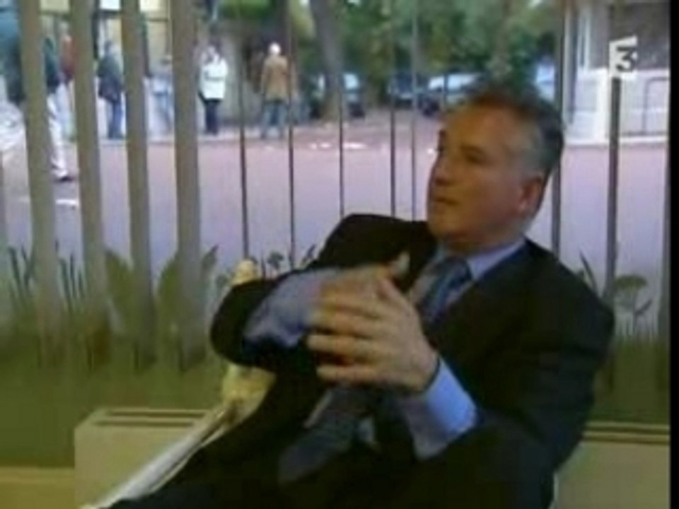 Striptease - L'Avoine et l'Oseille