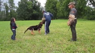 5 YEAR OLD YEAR OLD GETTING PROTECTED BY HER GERMAN SHEPHERD FROM 2 BAD GUYS .
