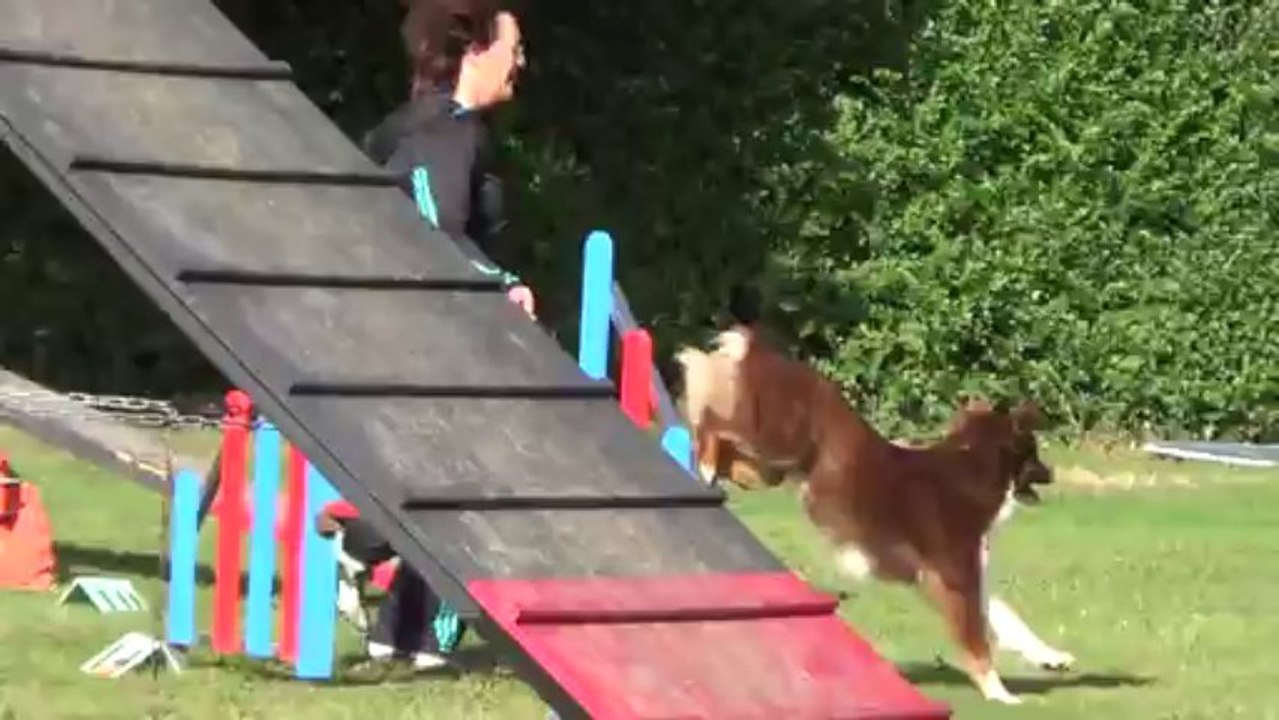 gioia 1er degré lorette