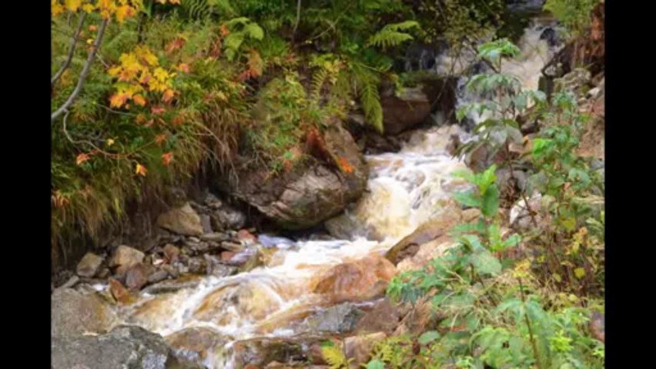 Nationalpark 'Sumava' Böhmerwald