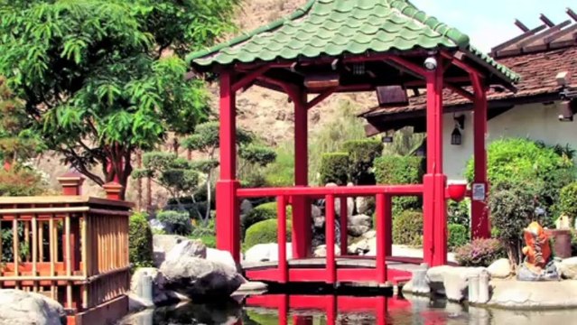 Kobe Japanese Steak House